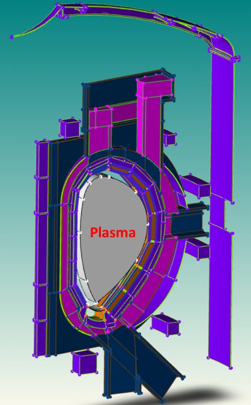 Poloidal cross-section model of the European DEMO sector with blanket, vacuum vessel and plasma region labelled